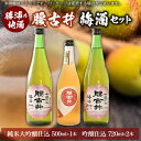 【ふるさと納税】腰古井 梅酒 500ml×1本と720ml×2本セット【1061262】