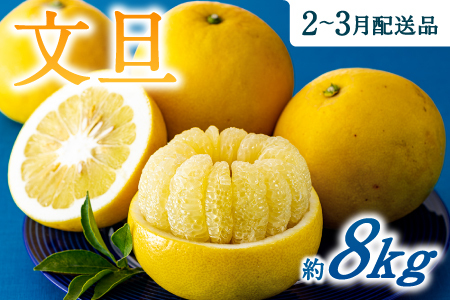 AA092.福岡柑橘王国・文旦／約８キロ（2027年2月～3月配送予定）