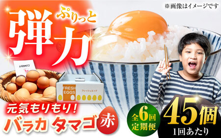 【6回定期便】【箱入り】バラカタマゴ 45個入 M-Lサイズ 卵 玉子 たまご 国産 五島市 / 五島列島大石養鶏場[PFQ061]  玉子 タマゴ 鶏卵 希少 五島列島