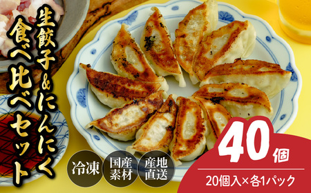 にんにく餃子 20個 生餃子 20個 | ぎょうざ 冷凍 北本フーズ