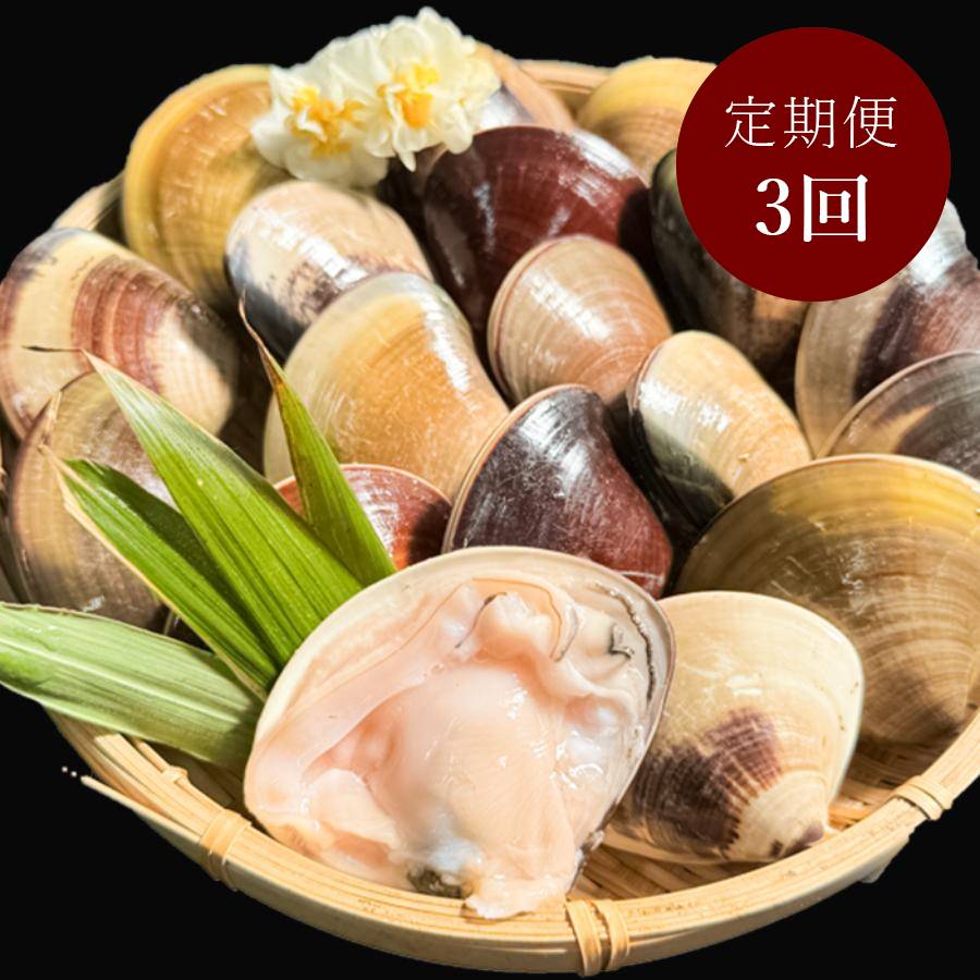 ＜岬水産＞天然「はまぐり」（大サイズ）500gx2(計1kg)【３ヵ月定期便】