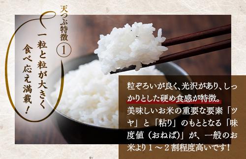 【令和8年産】米　国見町産　天のつぶ  20kg　5kg×4袋 ※沖縄・離島への配送不可 ※2026年10月中旬～2027年2月頃に順次発送予定