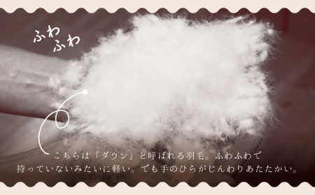 羽毛布団【ダブル】ポーランド産ホワイトマザーグースダウン95％1.7kg立体キルトDP440 【S-30】