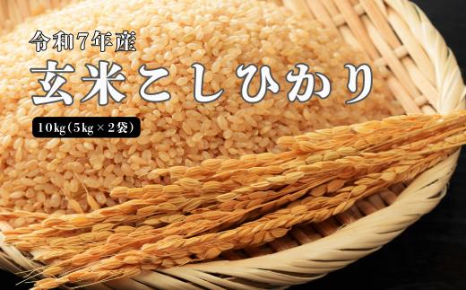 150253【令和7年産】しまね川本 玄米こしひかり 10kg(5kg×2)