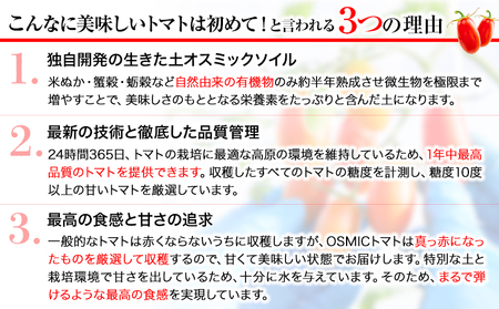 高糖度トマト OSMIC(オスミック)トマト 500g 株式会社ジェイ・イー・ティ・アグリ 甘い トマト フルーツトマト ミニトマト 野菜