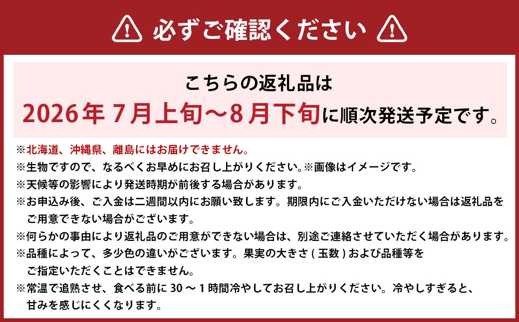 岡山白桃 エース 8～16玉 約4kg 岡山県産