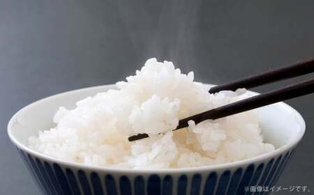 【2回定期便】＜令和8年産＞浦臼産 ゆめぴりか 精白米10kg（5kg×2袋） | 米 お米 こめ コメ ブランド米 白米 精米 ごはん ゆめぴりか 定期 定期便 北海道産 浦臼産 北海道 浦臼町 【