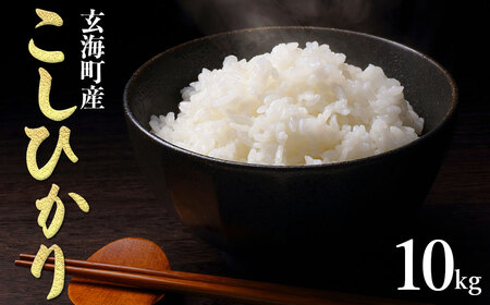 佐賀県玄海町産こしひかり 10kg ／ 米 お米 精米 白米 ご飯 コシヒカリ 産地直送 数量限定 佐賀県 玄海町 常温【B210】