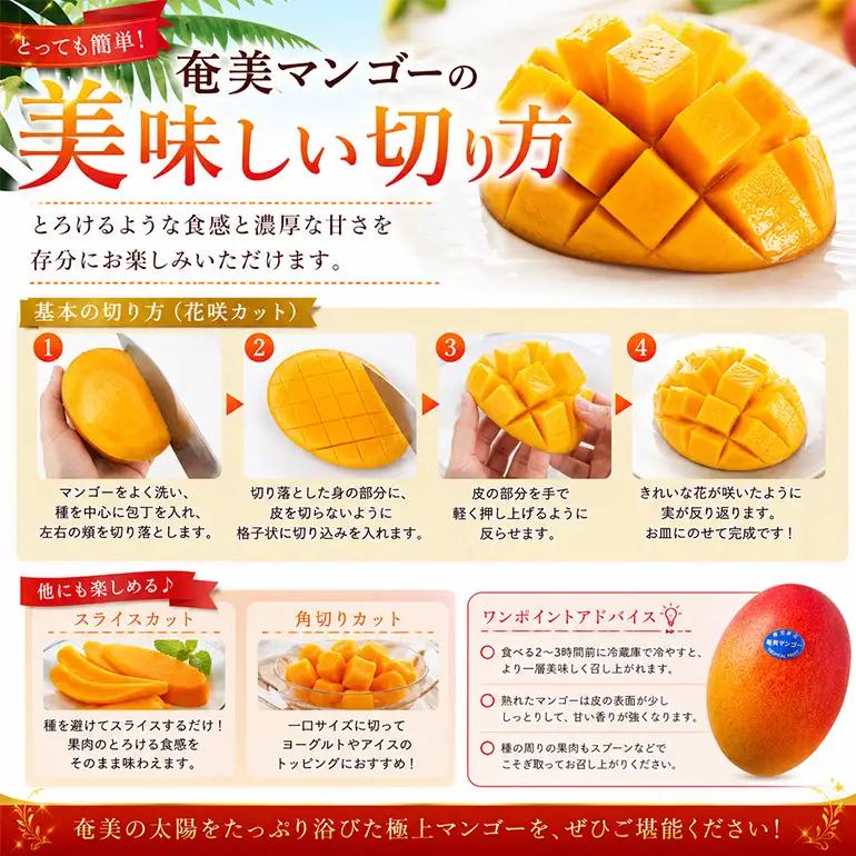 【2026年 観光雑誌付き】奄美産マンゴー 優品・美玉2kg とろける甘さの黄金果肉 樹上完熟 A052-021
