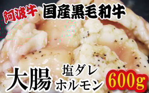ホルモン 大腸 阿波牛 塩漬け 200g×3パック 小分け 計600g  国産 牛 黒毛和牛 鍋 焼肉 脂 焼き シマチョウ もつ 肉 牛肉 BBQ 【北海道・東北・沖縄・離島への配送不可】
