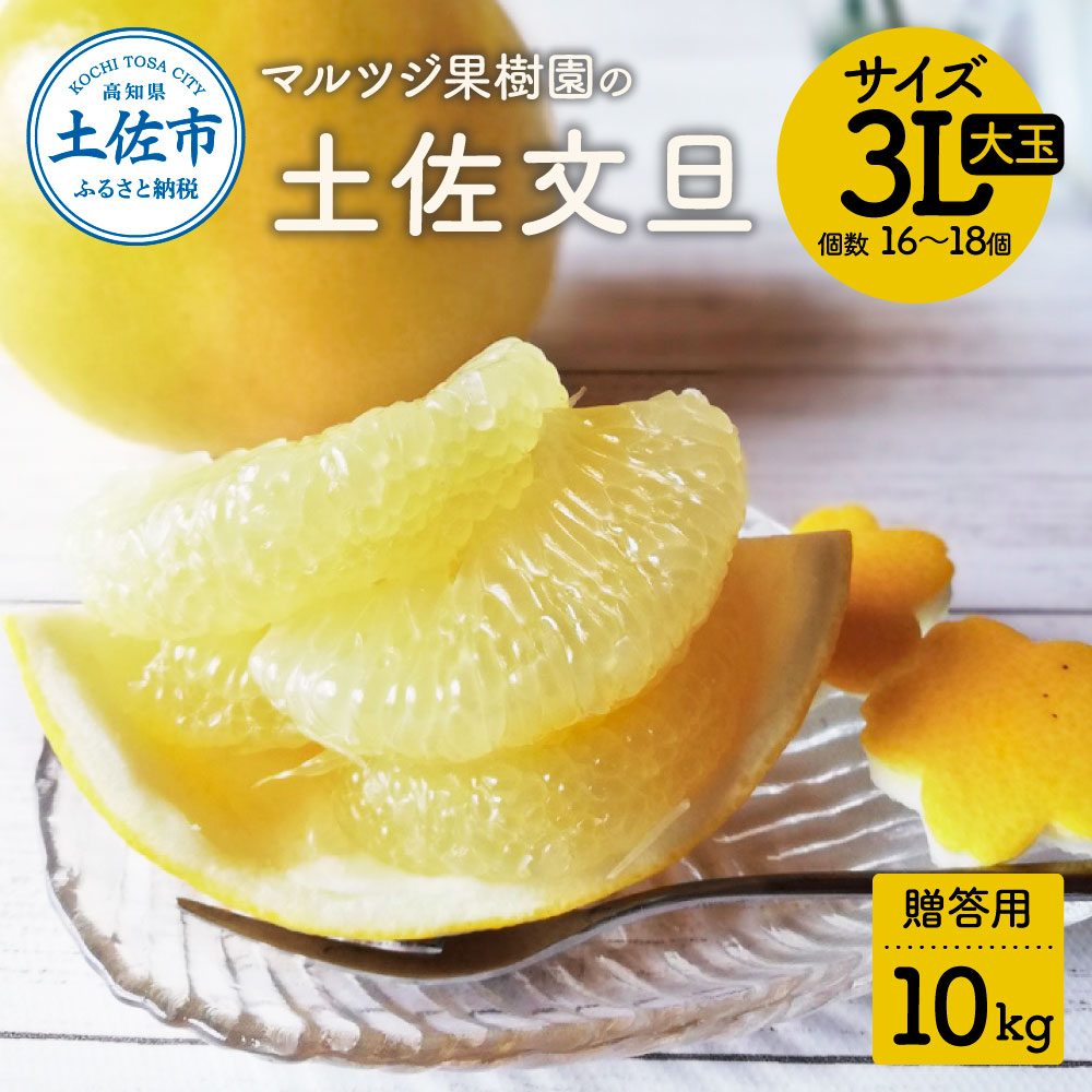 【先行予約受付】文旦 約10kg 土佐文旦 大玉 贈答用 ぶんたん ブンタン 期間限定 数量限定 3Lサイズ 16～18個 果物 柑橘 フルーツ 高知県産 土佐市産 ギフト 美味しい おいしい 春 旬