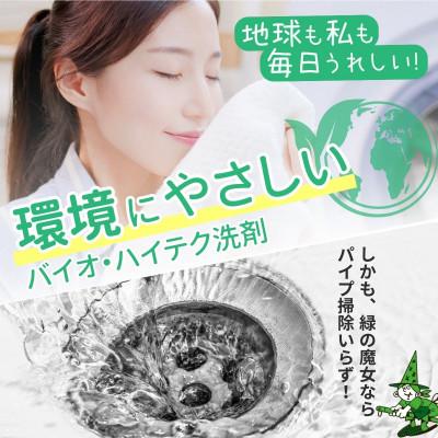 ふるさと納税 龍ケ崎市 洗剤なのに弱酸性+パイプクリーナーの機能が唯一ある環境配慮型洗剤　緑の魔女キッチン5L×3セット |  | 01