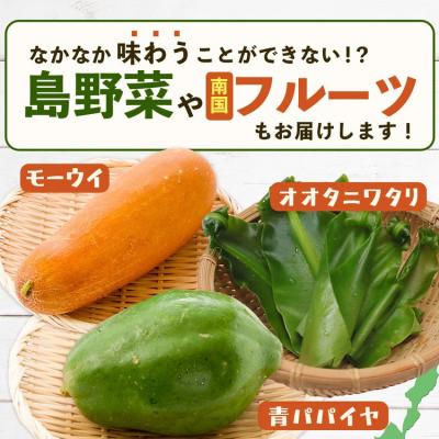 ふるさと納税 石垣市 沖縄 石垣島 新鮮 島やさい・くだもの BOX 【 野菜・フルーツ 詰め合わせセット 】1箱 |  | 03