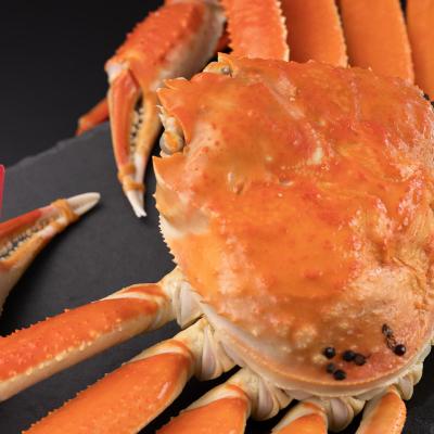 ふるさと納税 智頭町 鳥取県産　タグ付きボイル松葉ガニ大1枚(800〜900g) |  | 02