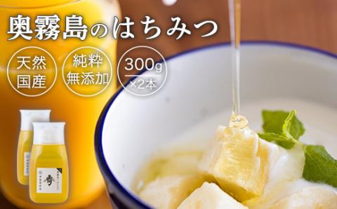 《天然・無添加》奥霧島のはちみつ600g(300g×2本)すぐに使えるボトルタイプ [純粋 国産 日本産 宮崎県産 ハニー honey プラ容器]   TF0699-P00058
