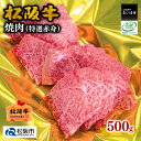 【ふるさと納税】松阪牛焼肉（特選赤身）500g 松阪牛 松坂牛 牛肉 ブランド牛 高級 和牛 日本三大和牛 国産 霜降り 焼肉 焼き肉 焼肉用 焼き肉用 赤身肉 バーベキュー BBQ 冷凍