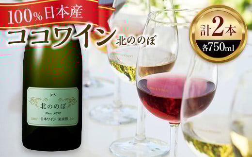 
スパークリングワイン/北ののぼ【 ワイン お酒 栃木県 足利市 】
