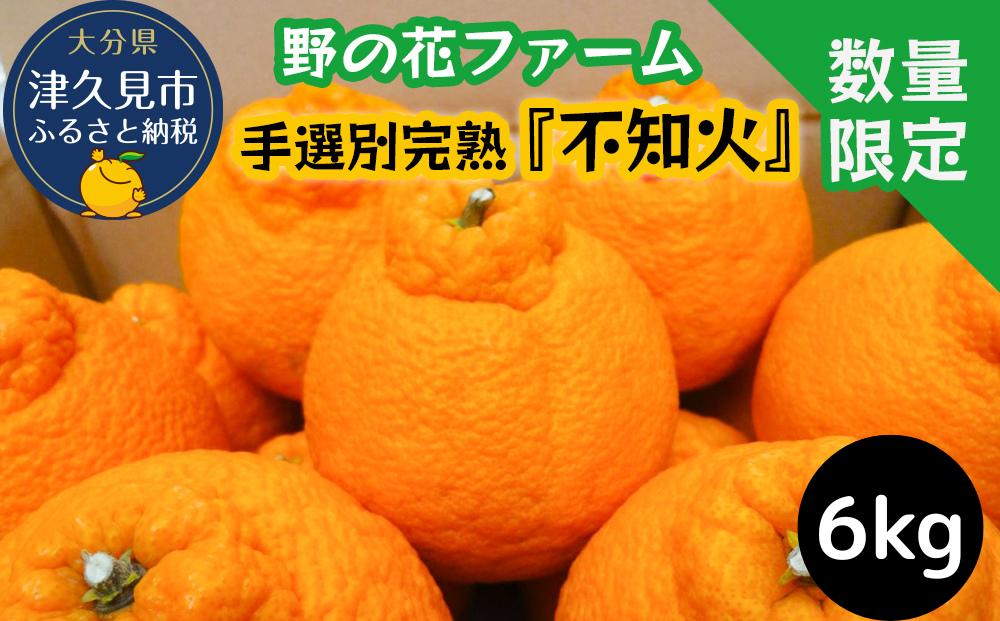 【先行予約】不知火 6kg 手選別完熟 みかん ミカン オレンジ フルーツ 柑橘類 大分県産 九州産 津久見市 国産【tsu002803】