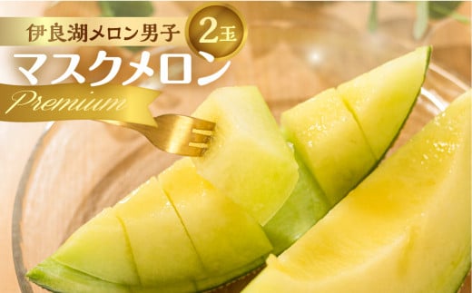先行予約 伊良湖産 マスクメロン Premium 2玉 2025年7月以降順次発送 箱詰め メロン フルーツ 果物 お取り寄せ ギフト 渥美半島 田原市 産地直送 送料無料