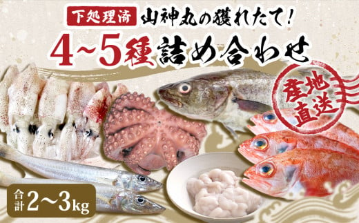 
山神丸の獲れたて直送! 石巻の鮮魚（4～5種） 詰め合わせ2～3㎏（小）
