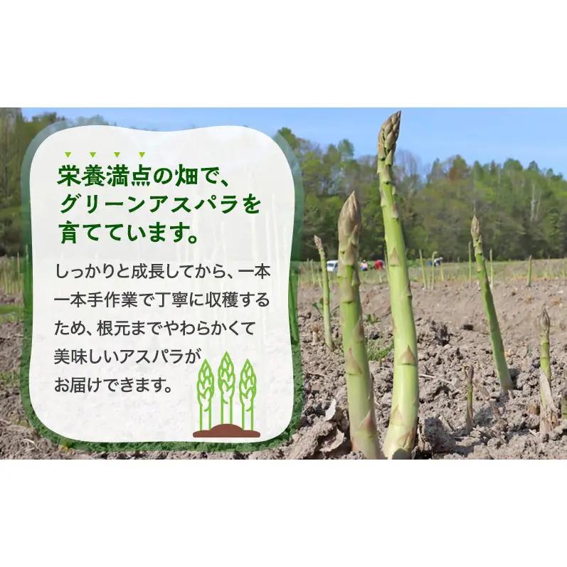 【令和8年産】アスパラガス グリーンアスパラ 2kg L～2L 原農園