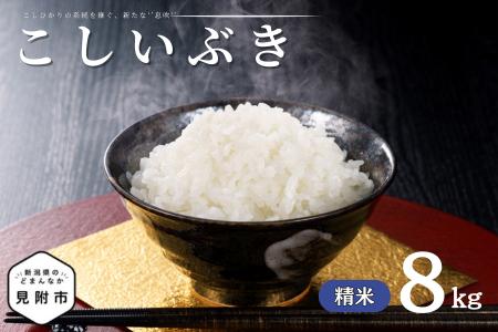 令和7年産 新潟県産 こしいぶき 8kg 精米 米 お米 白米 コシヒカリ こしひかり おすすめ 人気 こめ コメ 新潟 見附 見附市 7年 2025年産 ふるさと納税 諸長