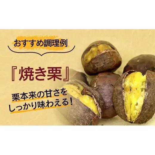 低温熟成栗 国産生栗1kg 糖度2～3倍上昇 西都市産＜49-1a＞