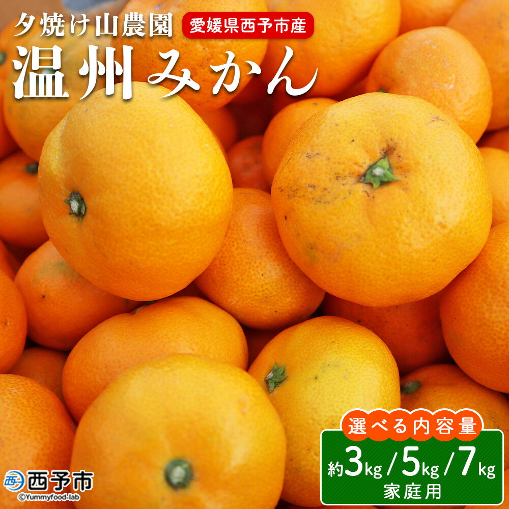【ふるさと納税】＜夕焼け山農園 愛媛県西予市産 温州みかん 家庭用 約3kg／5kg／7kg＞『2026年10月上旬～12月下旬予定』果物 フルーツ ミカン 蜜柑 柑橘 なんかん 訳あり うんしゅうみかん ウンシュウ 特産品 愛媛県 西予市 【常温】