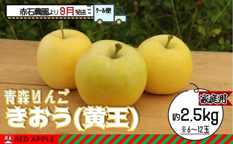 
            りんご 【 9月 クール便発送 】 家庭用 きおう ( 黄王 ) 約 2.5kg 【 弘前市産 青森りんご 】 REDAPPLE 青森県産 黄色いりんご
          