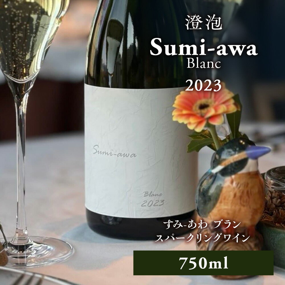 【ふるさと納税】sumiawa ブラン ヴィンテージ スパークリングワイン2023 ラ・メゾン・ド・ラ・リヴィエー 辛口 スパークリング白 日本ワイン お酒 酒 洋酒 果実酒 アルコール 北海道 仁木町 [ 株式会社Souplesse ]