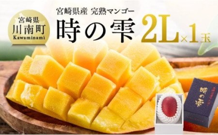 【令和７年発送】宮崎県産完熟マンゴー「時の雫」 2L×1玉【 期間限定 数量限定 先行予約 果物 フルーツ マンゴー 宮崎県産 九州産 完熟マンゴー みやざきマンゴー 】