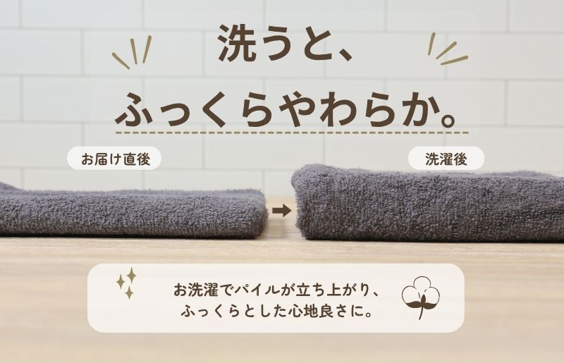 デイリーフェイスタオル 10枚セット (ダークグレー・ピンクベージュ）【国内製造 日本製 泉州タオル 無地 吸水力 耐久性 大阪 泉佐野 大阪府 泉佐野市】