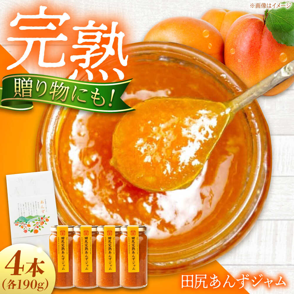 【ふるさと納税】ジャム 田尻完熟あんずジャム 4本セット ジャム 果物 あんず パン 菓子 朝ごはん おすすめ 人気 フルーツジャム トースト ヨーグルト パンケーキ 瓶詰め ギフト 贈り物 お取り寄せ 送料無料 20000円 2万円 広島県福山市/有限会社勉強堂[BAFL002]