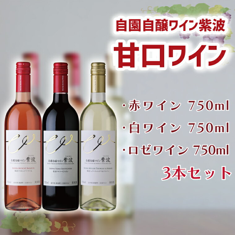 【ふるさと納税】 産地限定 ワインぶどう品種使用 自園自醸ワイン紫波 甘口ワイン3本セット ふるさと納税 紫波町産 テロワール ワイン （AL044）