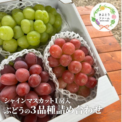 【ふるさと納税】【きよとうファーム】ぶどう3品種詰合せ(シャインマスカット入)3-5房入/計2kg～(岡山県産)【配送不可地域：離島】【1678561】