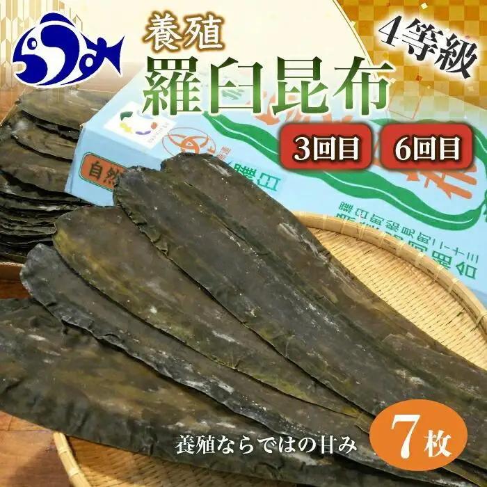 【年6回】羅臼昆布の出汁比べ定期便（等級比較） ｜ 羅臼昆布 北海道