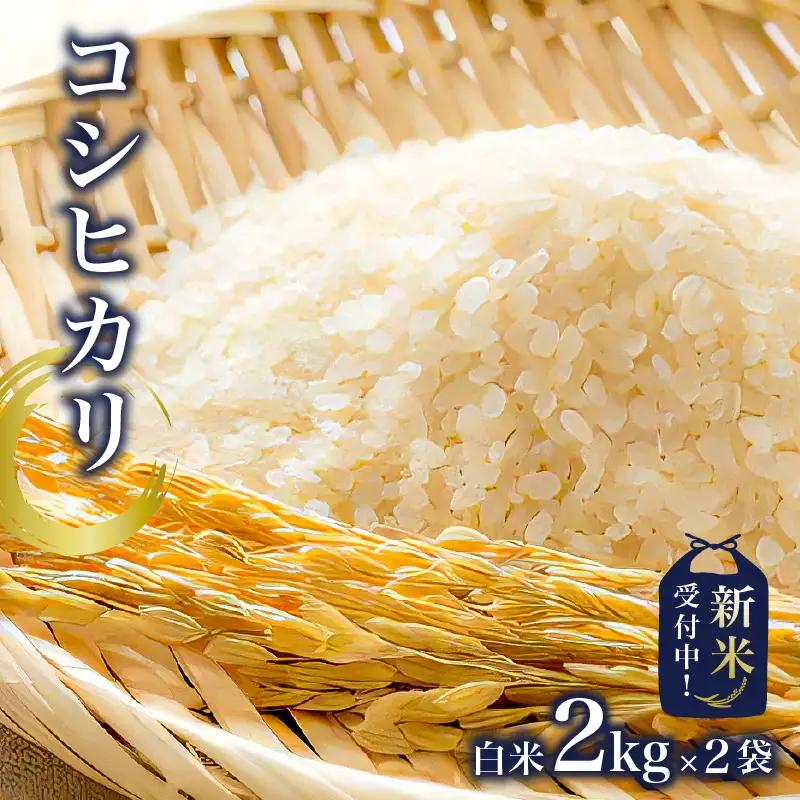 【新米】コシヒカリ白米2kg×2袋【2026年産】 mi0015-0001