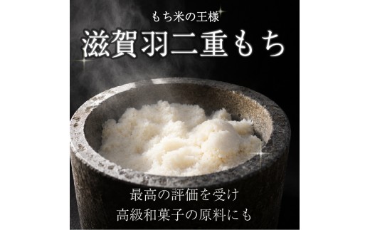 ピスタチオ大福 6個 ピスタチオ 和菓子 お土産 茶 コーヒー 大福冷凍 もち 餅 お菓子 デザート スイーツ 贈答 久子の大福 手作り 創作 季節 プレゼント 滋賀県 彦根市