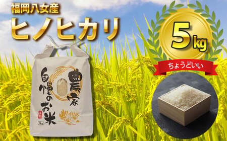 八女産ヒノヒカリ 5kg！ 清流矢部川と大地の恵み 米 白米 ご飯 粘り 甘み コク  026-001