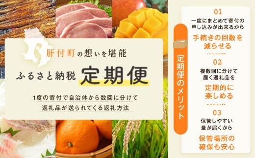 ＜定期便・全5回(毎月)＞バラエティーセットB！