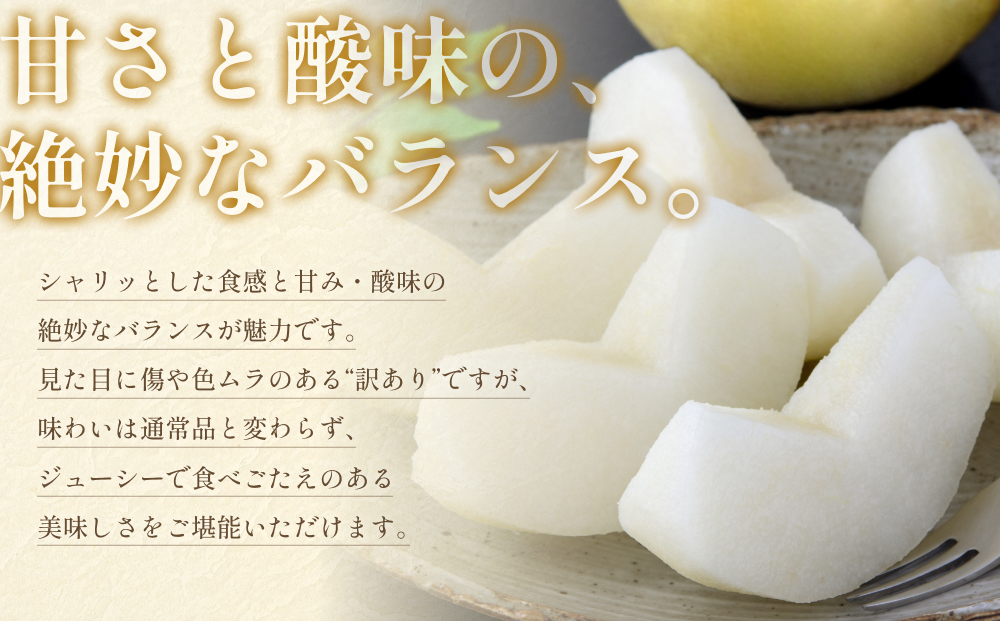 先行予約 訳あり 新興梨（しんこうなし）4kg｜鳥取 果物 フルーツ なし 梨【41043】
