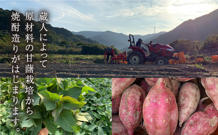 【全3回定期便】【上五島産の芋で作る本格芋焼酎】五島灘 紅さつま 1800ml×1本【五島灘酒造】 [RAW039]