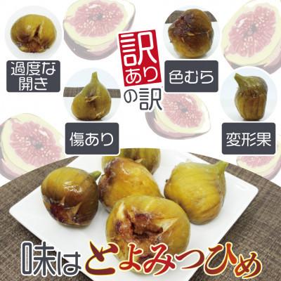 ふるさと納税 宮若市 訳あり冷凍いちじく「とよみつひめ」500g×6袋(3kg)(宮若市) |  | 01