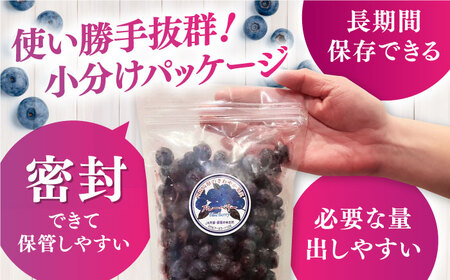 旬の美味しさそのまま！冷凍 完熟ブルーベリー 計1kg (約500g×2パック)  熊本県産冷凍ブルーベリー 山都町産冷凍ブルーベリー ブルーベリー フルーツ ブルーベリースムージー 果物 小分け冷凍