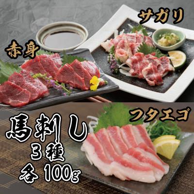 ふるさと納税 多良木町 3種の馬刺し 300g【赤身・フタエゴ・サガリ各100g】(多良木町)