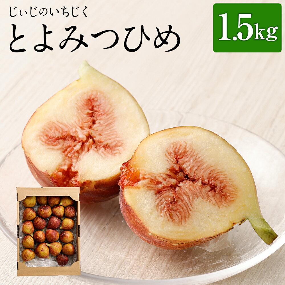 【ふるさと納税】じいじのいちじく とよみつひめ 約1.5kg 13000円 1万3000円 糖度平均17度 いちじく イチジク 無花果 フルーツ 果物 栽培期間中農薬不使用 福岡県産 送料無料【2026年8月上旬から10月上旬発送予定】