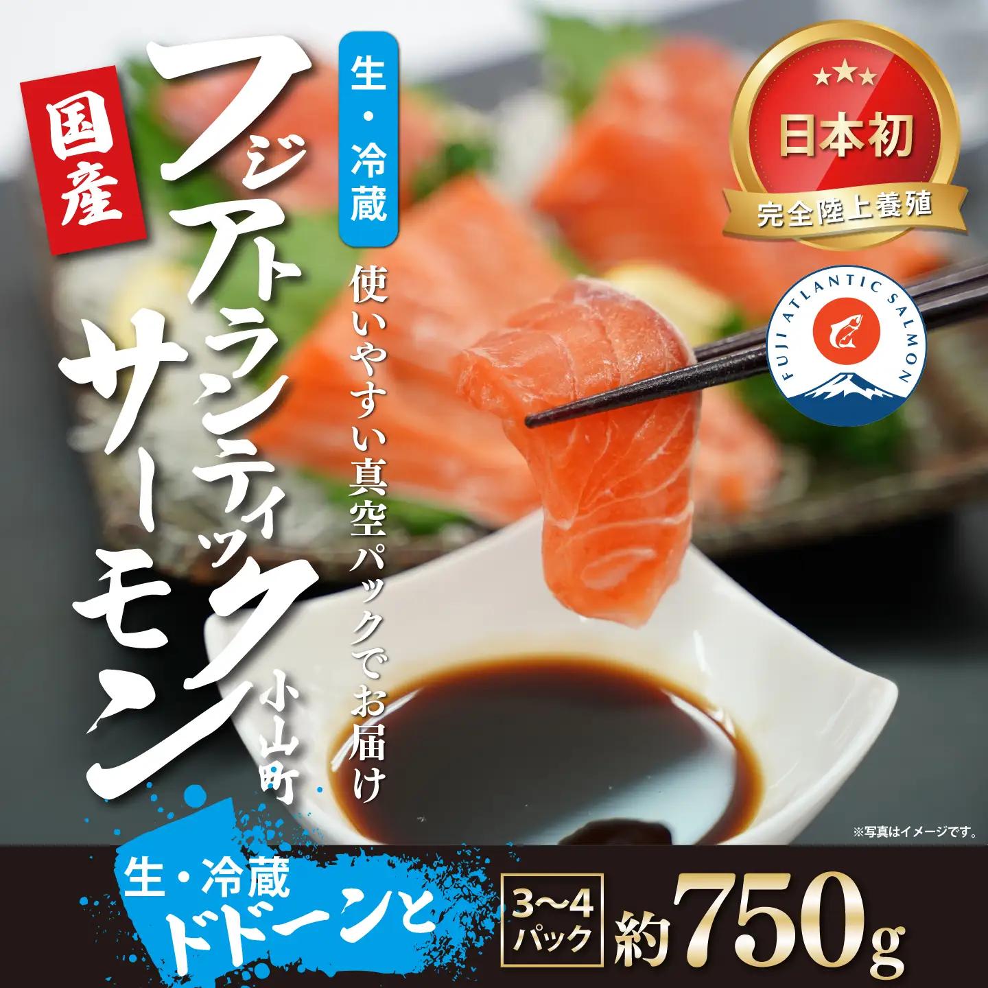 サーモン 約750g 小分け 3～4P 国産サーモン
