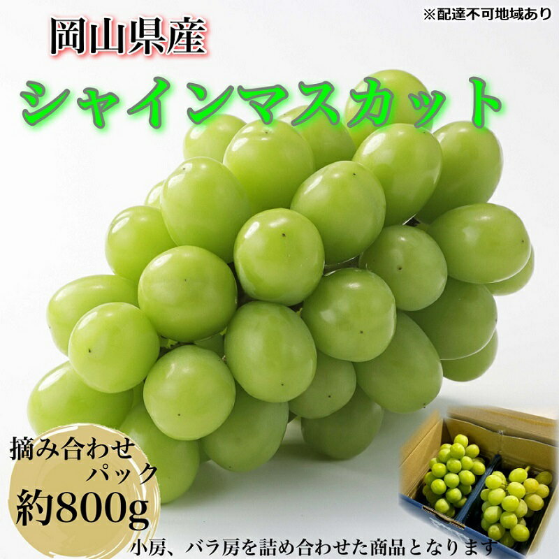 【ふるさと納税】ぶどう 2025年 先行予約 【平均糖度20度】農家こだわりの シャインマスカット ご家庭用パック 合計約800g ブドウ 葡萄 岡山県産 国産 フルーツ 果物 ギフト 【 Nini farm 農家 直送 】　お届け：2025年9月1日～2025年10月15日
