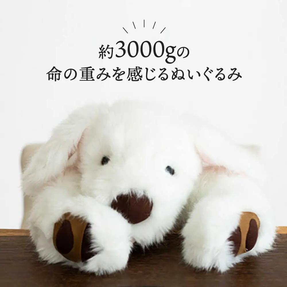 シロラン ＆ クロラン （ パトラン 2点セット ）犬 ぬいぐるみ 糸島市 / 科学工房未來 [AYI004]
