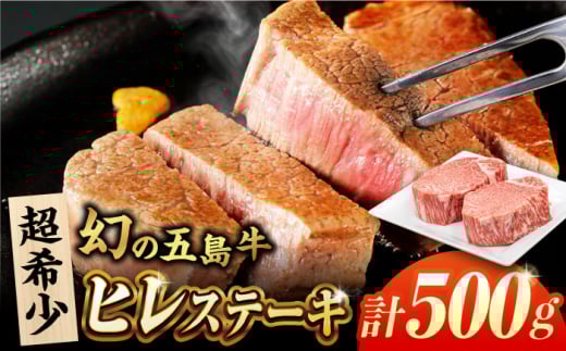 五島牛ヒレ 250g×2枚 五島市/ごとう農業協同組合 [PAF032] 牛肉 国産 希少 ヒレ ヒレステーキ ステーキ 牛肉 国産 国産牛